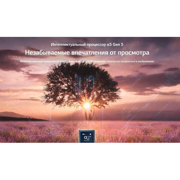 Телевизор LG 32LQ63806LC