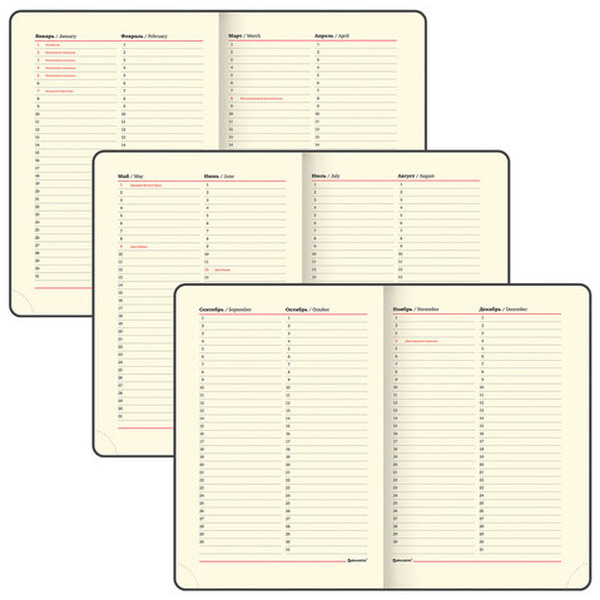 Ежедневник недатированный BRAUBERG Iguana 125092