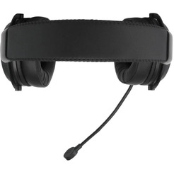 Наушники с микрофоном Acer AHW120 (ZL.HDSCC.01C)