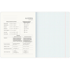 Тетради предметные BRAUBERG 404326 (КОМПЛЕКТ 12 ПРЕДМЕТОВ, 48л, SoftTouch, фольга)