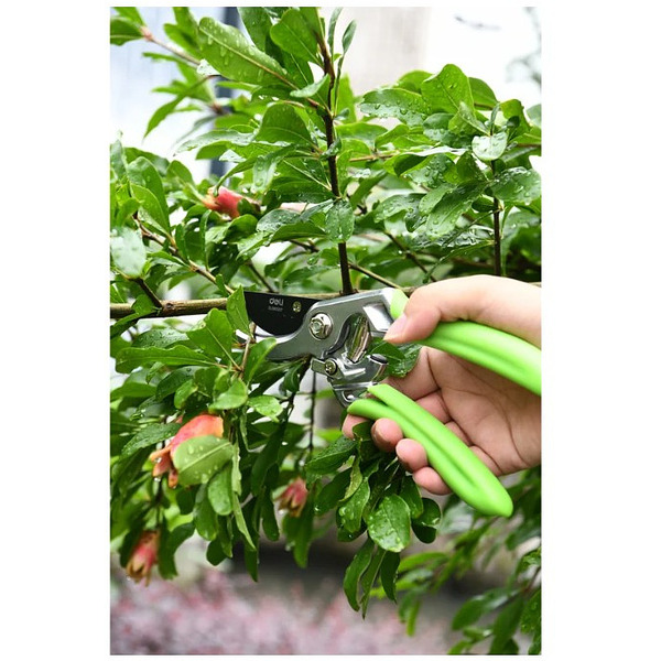 Секатор садовый цельнокованный Deli GS EDL580207