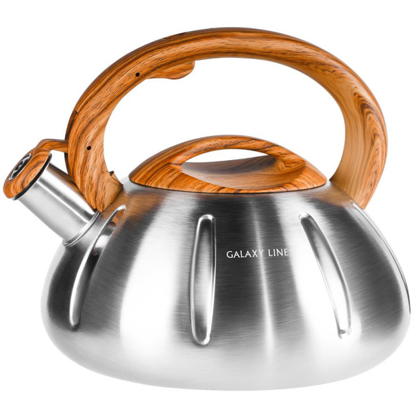 Чайник со свистком Galaxy Line GL9206