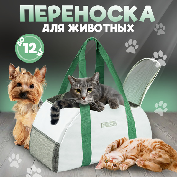 Переноска для животных Solmax&Zoo SM98365 (зеленый)
