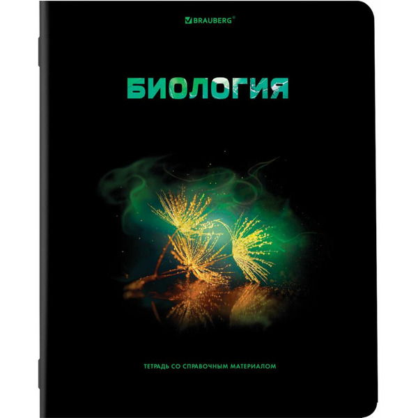 Тетради предметные BRAUBERG 404324 (КОМПЛЕКТ 12 ПРЕДМЕТОВ, 48л, глянцевый УФ-лак)