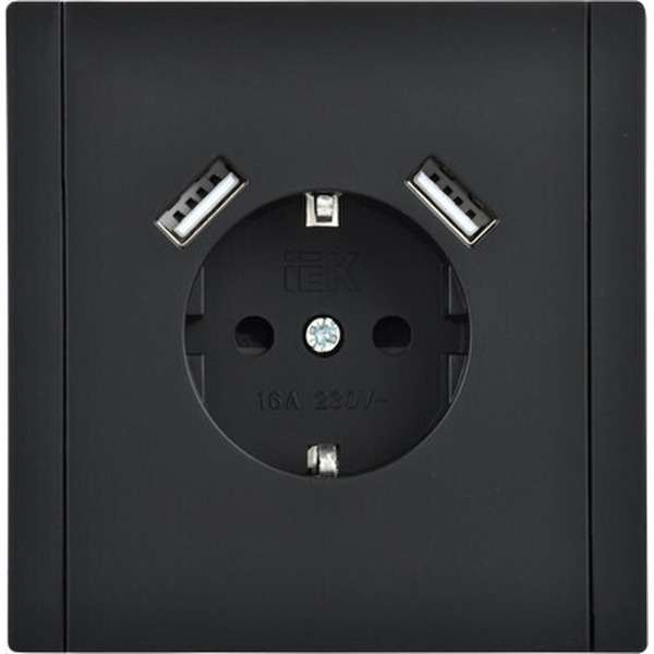 Розетка IEK Forte&Piano FP-R14-16-U21-D31-K02