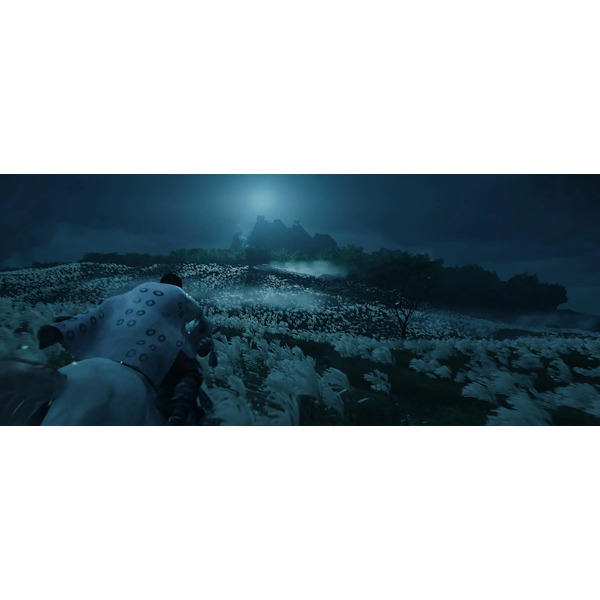 Игра Ghost of Tsushima Director's Cut для PlayStation 5