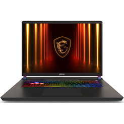 Игровой ноутбук MSI Vector 17 HX AI A2XWHG-248XBY