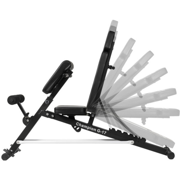 Скамья спортивная Alpin Champion G-17