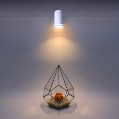 Накладной светильник WOLTA WSL-GU10/02W