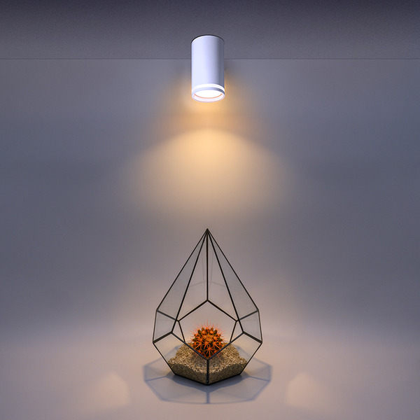 Накладной светильник WOLTA WSL-GU10/02W