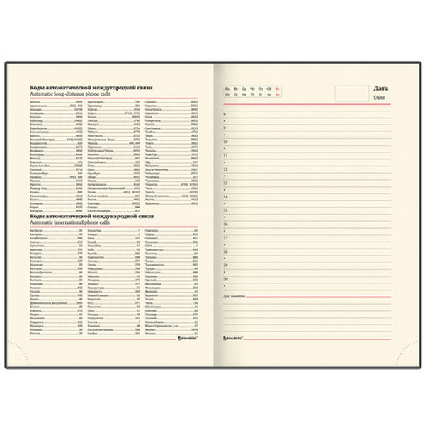 Ежедневник BRAUBERG недатированный Flame 113425 (черный)