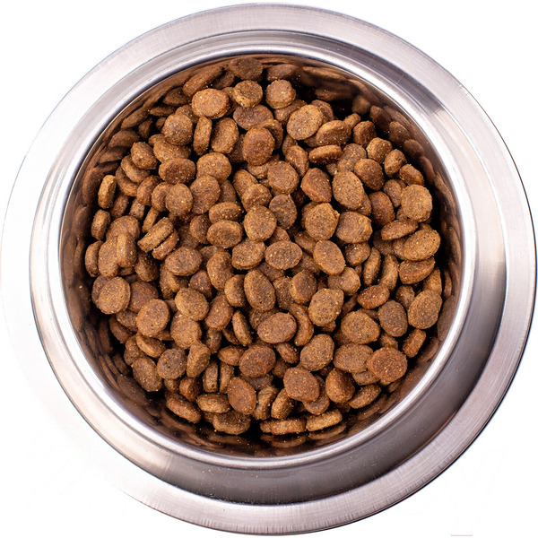 Сухой ветеринарный корм для собак Monge Vet Solution Dermatosis (2кг)