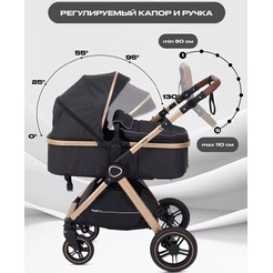 Коляска трансформер Rant Basic Roller 2 в 1 RA161 (черный)
