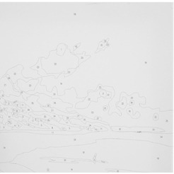 Картина по номерам ОСТРОВ СОКРОВИЩ «Южный полдень» 663270