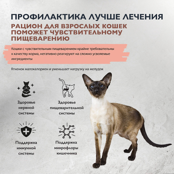 Сухой корм для кошек Брит Кеа Sensitive Healthy Digestion с индейкой и ягненком / 1067009 (1.5кг)