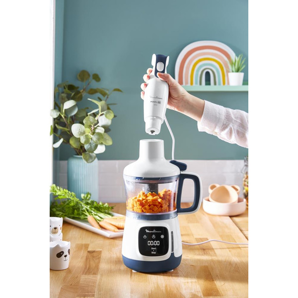 Погружной блендер Moulinex Yummy Gourmet DD55W110