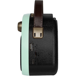 Радиоприемник Ritmix RPR-040 (мятный)