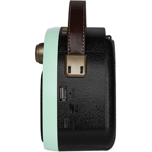 Радиоприемник Ritmix RPR-040 (мятный)