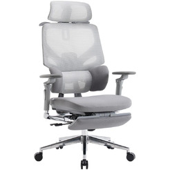 Кресло компьютерное EVOLUTION LumbarPro Elite (серый)