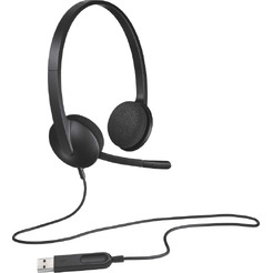 Наушники с микрофоном Logitech H340 981-000509 (серый/черный)