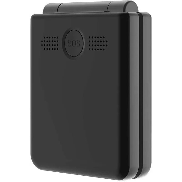 Мобильный телефон BQ 2456 Pocket (черный)