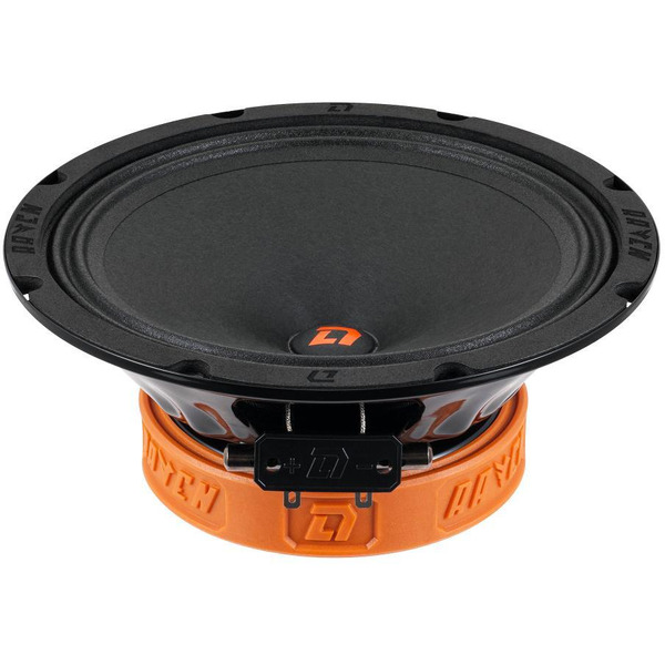 Автоакустика DL Audio Raven 200 V.2