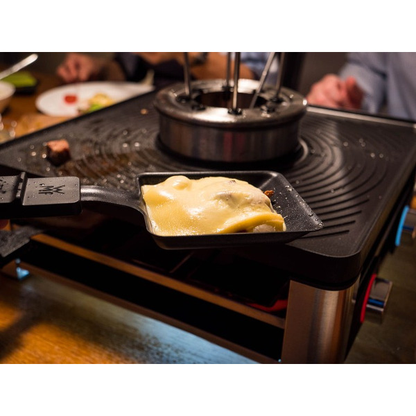 Мультифункциональная станция WMF Lumero Gourmet 0415480711