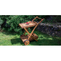 Сервировочная тележка Fieldman FDZN 4050-T