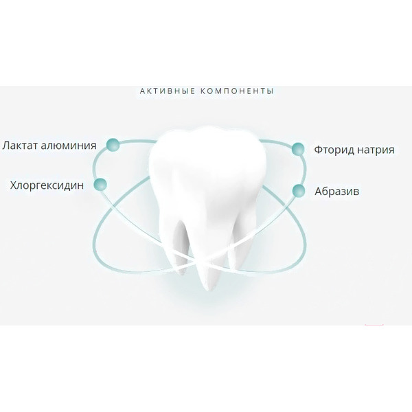 Зубная паста Lacalut Aktiv (100мл)