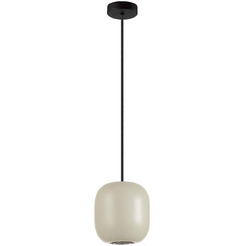 Потолочный светильник Odeon Light Cocoon 5060/1GA