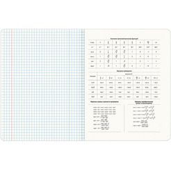 Тетради предметные BRAUBERG 404324 (КОМПЛЕКТ 12 ПРЕДМЕТОВ, 48л, глянцевый УФ-лак)