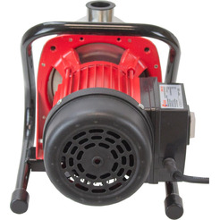 Центробежный насос Edon EPW 750 24811