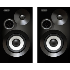 Акустика GINZZU GM-313