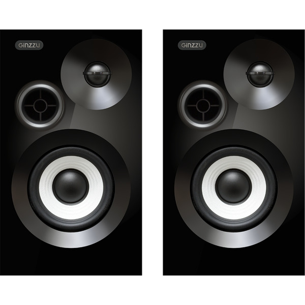 Акустика GINZZU GM-313