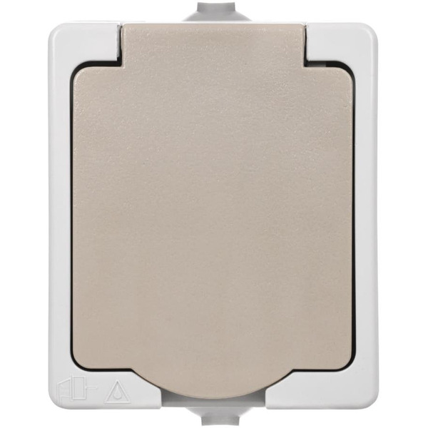 Розетка TDM Вуокса SQ1803-0007