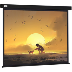 Проекционный экран CACTUS Wallscreen CS-PSW-150X150-BK