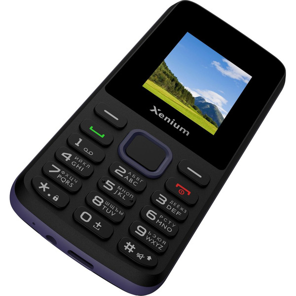 Мобильный телефон Xenium L170 (черный)