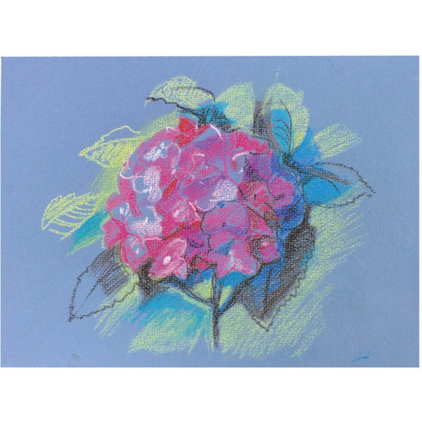 Пастель сухая BRAUBERG ART 181456