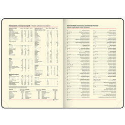 Ежедневник BRAUBERG недатированный Office 113285 (черный)