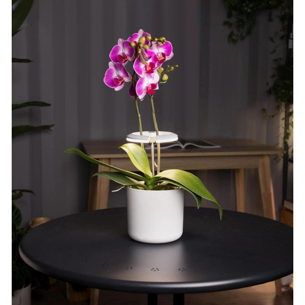 Светильник фито Cactus CS-LED-ORCHID