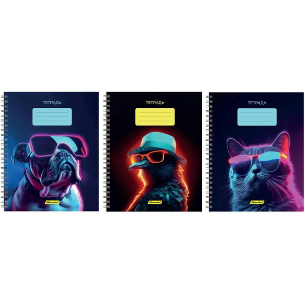 Набор тетрадей Silwerhof Неоновые животные в очках 48л 2001674