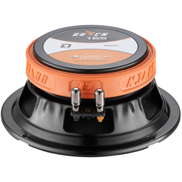 Акустическая система DL Audio Raven 165