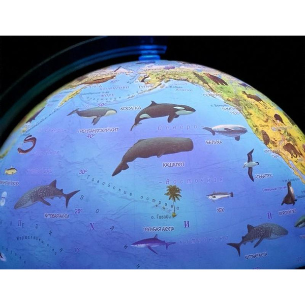 Глобус Globen Ке012500270 (Зоогеографический Классик Евро с подсветкой)