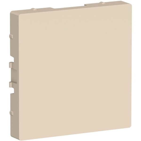 Декоративная заглушка Systeme Electric AtlasDesign ATN000209