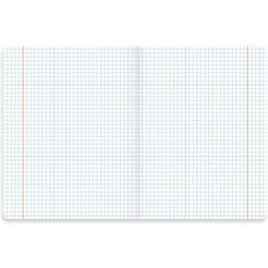 Тетради предметные BRAUBERG 404031 (КОМПЛЕКТ 10 ПРЕДМЕТОВ, 48л, SoftTouch, фольга)