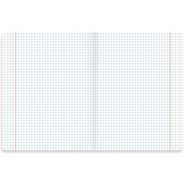 Тетради предметные BRAUBERG 404031 (КОМПЛЕКТ 10 ПРЕДМЕТОВ, 48л, SoftTouch, фольга)