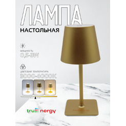 Светильник TRUENERGY TASK 29001