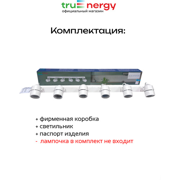 Светильник под лампу TRUENERGY FOCUS 21469