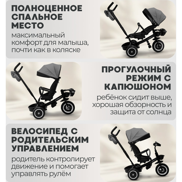 Беговел-велосипед Bubago Dragon BG 161-3 (темно-серый)