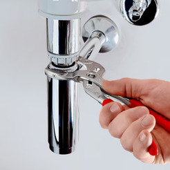 Клещи переставные трубные захватные Knipex 81 13 250